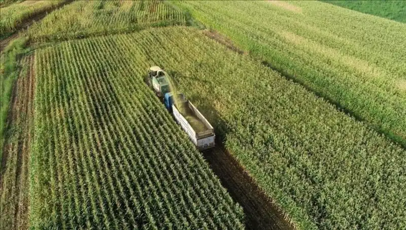 2025 Mart Ayı Mazot ve Gübre Desteği Ödemeleri: Son Durum Ne?