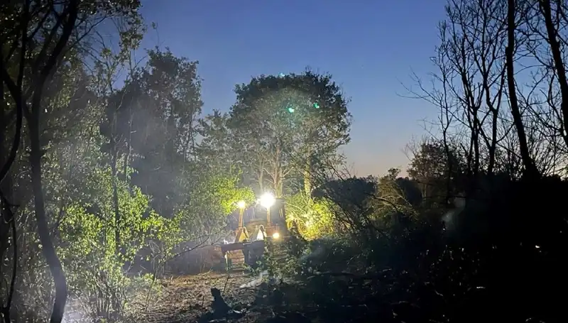 Edirne'de Yangın Korkusu Son Buldu: Orman Yangını Kontrol Altına Alındı