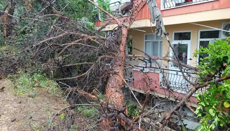 Aşırı Yağışlar İki Katlı Bina Üzerine Devirdi: Şanslı Kurtulanlar Var!
