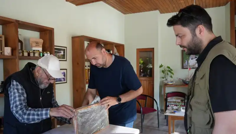 Hem Şifa Hem Zehir: 1 Çay Kaşığıyla Neler Oluyor?