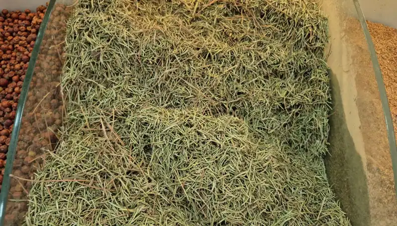 Yaz Aylarında İnternette Artan Tehlikeli Ürün Satışları: Ölüme Yol Açan Ürünler