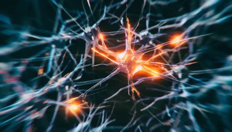 Alzheimer Vakalarında Artış: Günümüzdeki Tehdit ve Yaşamsal Faktörler