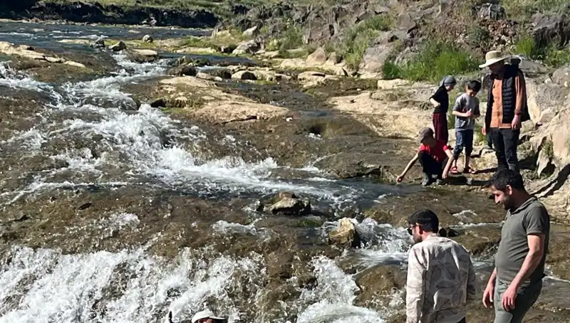 İnci Kefali Göçü: Doğanın Harikası, Turistlerin Yeni Gözdesi