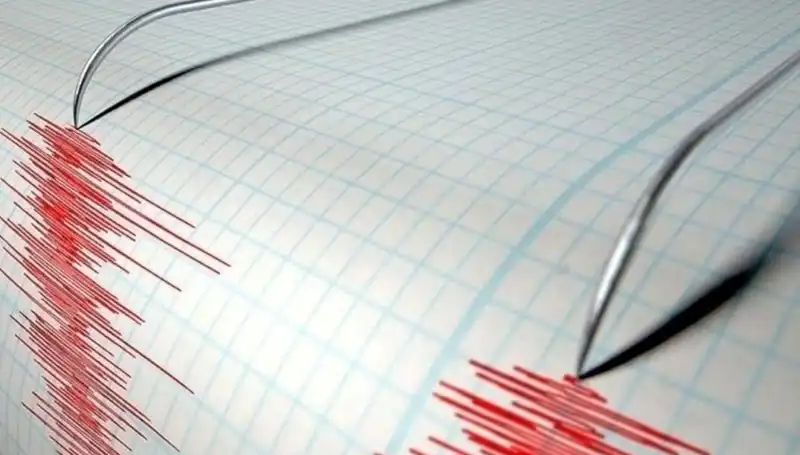 Bingöl'de Tedirgin Eden 3,9 Büyüklüğünde Deprem: Neler Yaşandı?