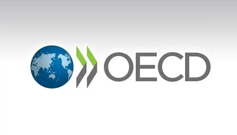 OECD, Türkiye Ekonomisi İçin Büyüme Tahminini Revize Etti: Beklentiler Ne Yönde?