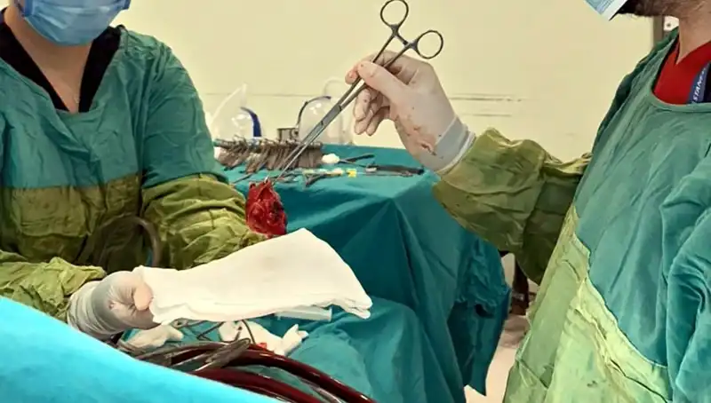 Hayat Kurtaran Ameliyat: Kalp Kapağı Çürüyen Hastaya 7 Saat Mücadele
