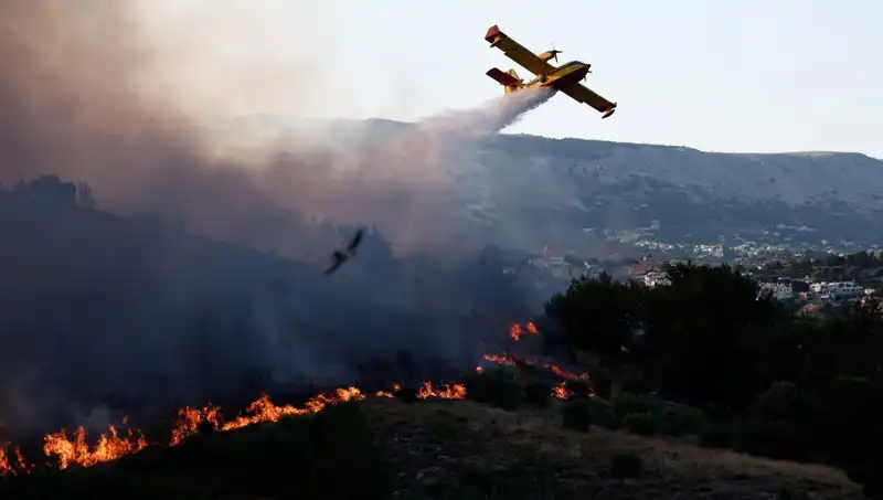Sakız Adası'nda Orman Yangını Kontrol Altına Alındı: Doğa Yeniden Canlanacak mı?