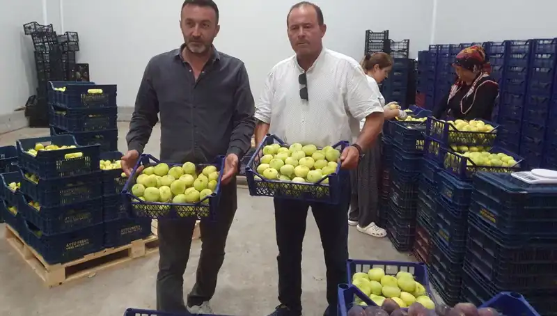 Mersinli Çiftçilerin Yüzünü Güldüren Tarım Ürünü İhraç Ediliyor