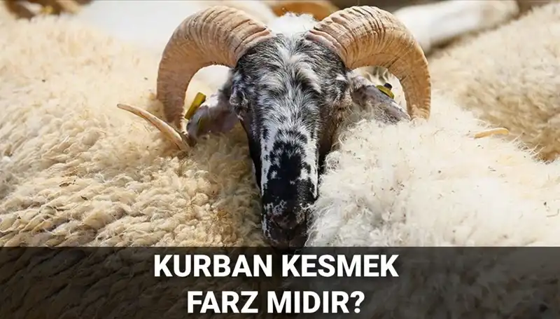 Diyanet'e Göre Kurban Kesmek Farz mı? İşte Detaylar
