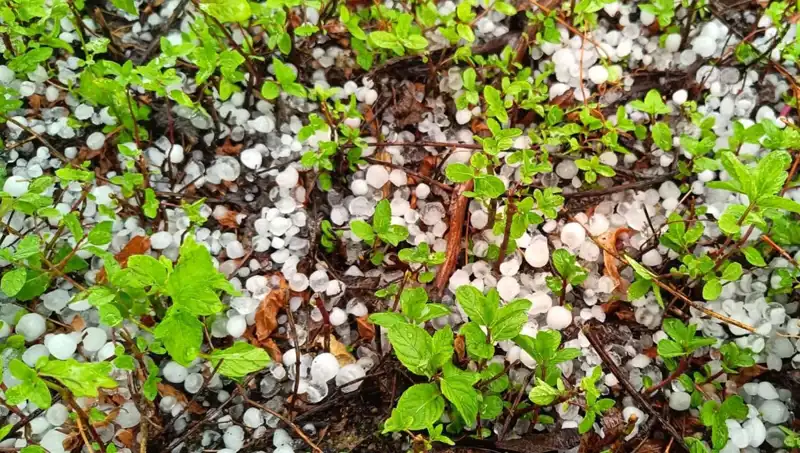 Temmuz'un Ortasında Beklenmedik Dolu Yağışı Şaşırttı: Meteorolojik Olaylar ve Etkileri