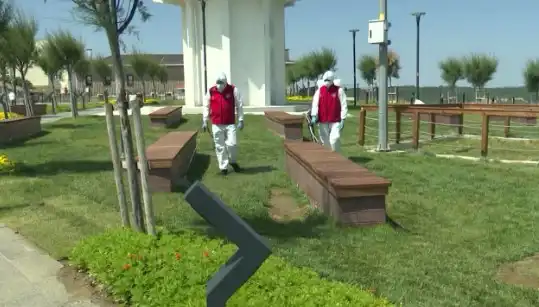 Kene Tehdidi Artıyor: Halka Açık Yerlerde İlaçlama Faaliyetleri Başlatıldı