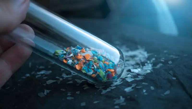 Mikroplastikler İnsan Beynine Ulaşıyor: Zararları ve Önlemleri Neler Olacak?