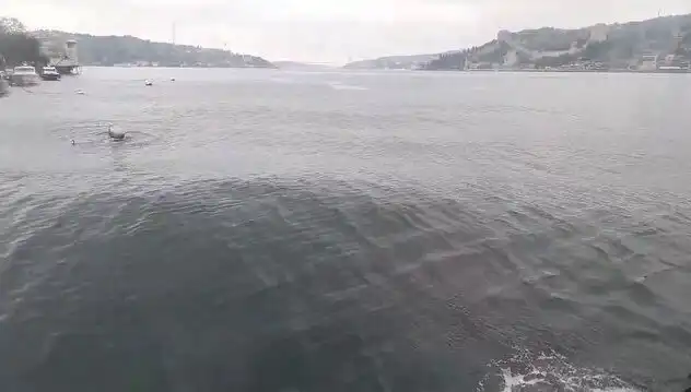 İstanbul Boğazı'nda Dalgalar Yükseliyor: Doğa Oyununu Başlattı!